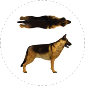Card img