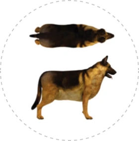 Card img