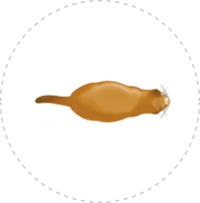Card img