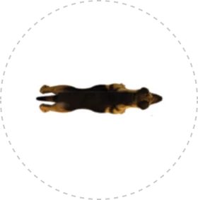 Card img